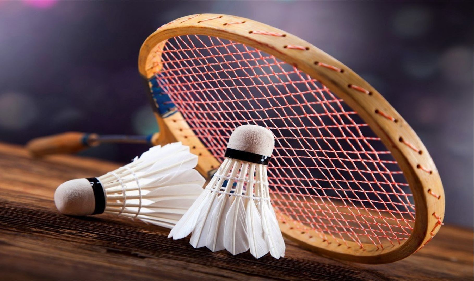 路径贡献季 路径贡献季